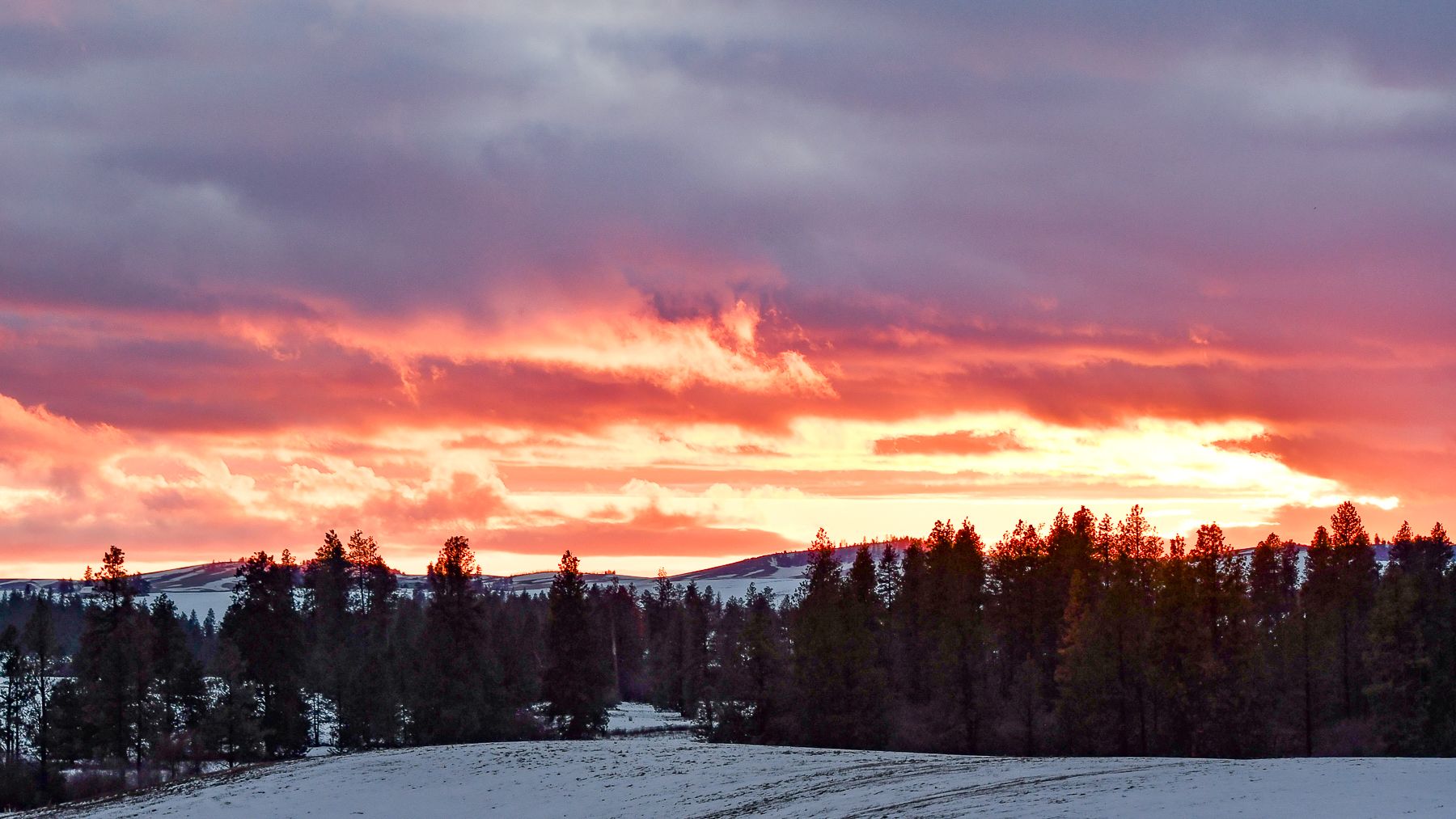 A gorgeous sunset in Northern Idaho